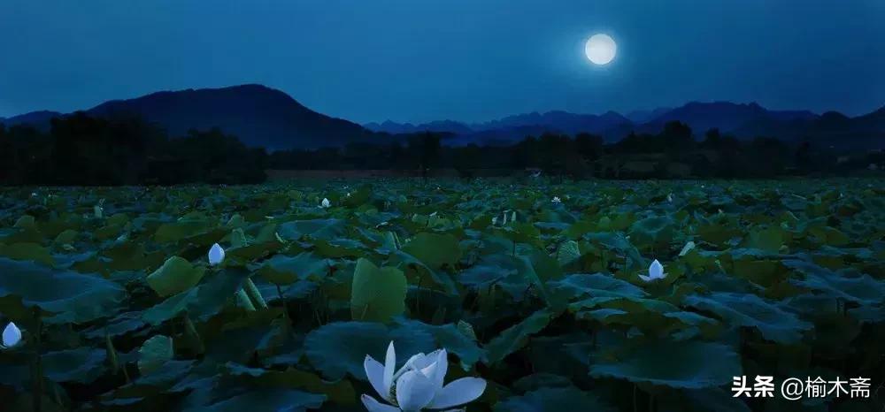 夏夜诗词佳句：松间小槛接波平，月澹烟沉暑气清