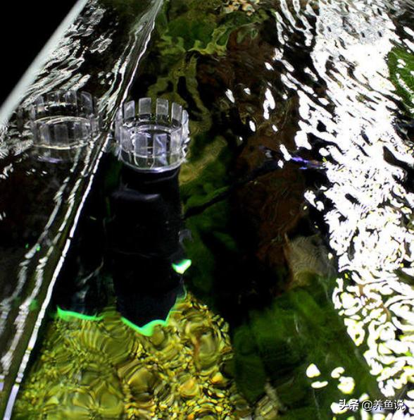 鱼缸悬浮物是什么,鱼缸里的漂浮物抽不走