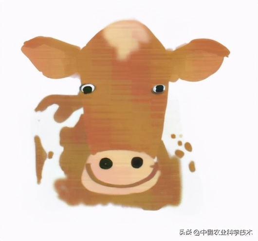 奶牛的主要特征是什么,奶牛的习惯和特征