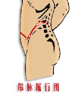 带脉不通肚子总是胀,带脉不通腹部会不会胖