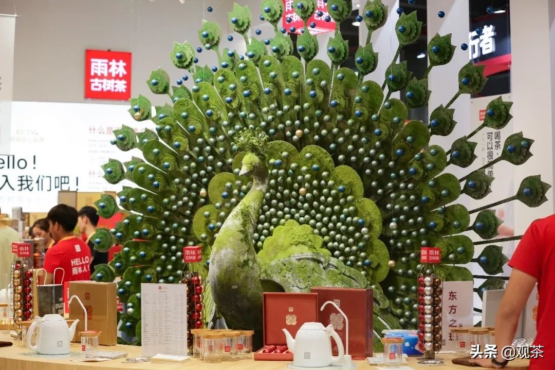 茶界创新还要看雨林