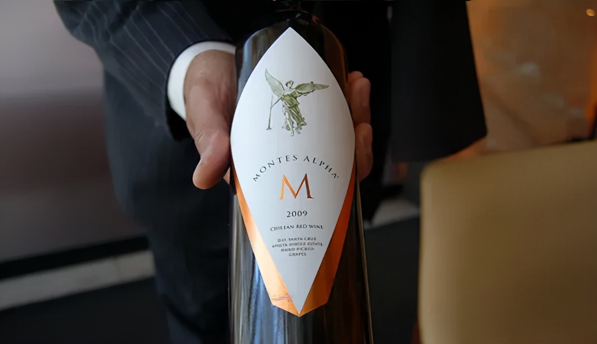 智利18罗汉中性价比最高的,智利十大顶级葡萄酒