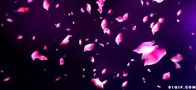 300个出自诗经的好成语,诗经100个经典成语