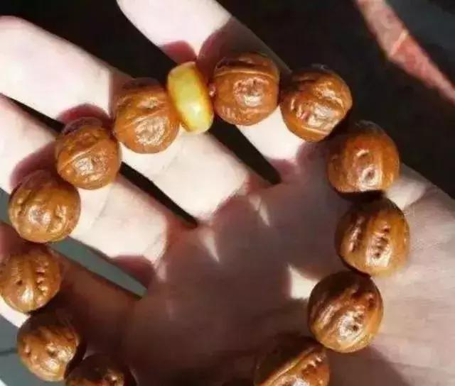 手串有白色小虫子,手串长虫子是什么原理