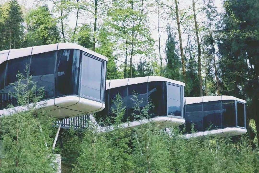 彭州太空舱营地,成都熊猫森林太空舱民宿