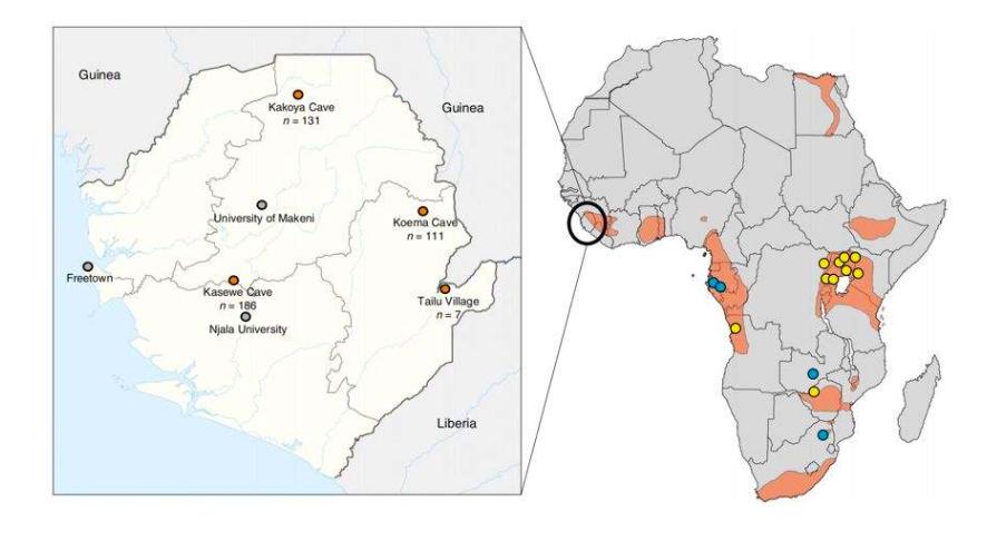 欧洲瘟疫死亡2500万人是哪一年,人类最大的瘟疫