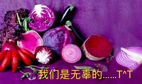 无限极怎么干才能成功,无限极实验视频