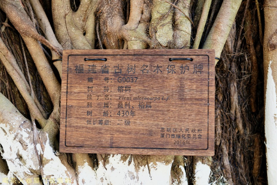 厦门海悦山庄酒店附近酒店,厦门海悦山庄酒店攻略