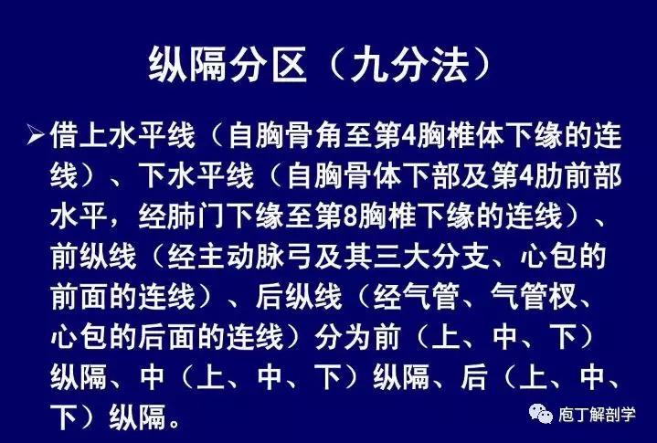 纵隔人体解剖学,纵隔解剖x线表现