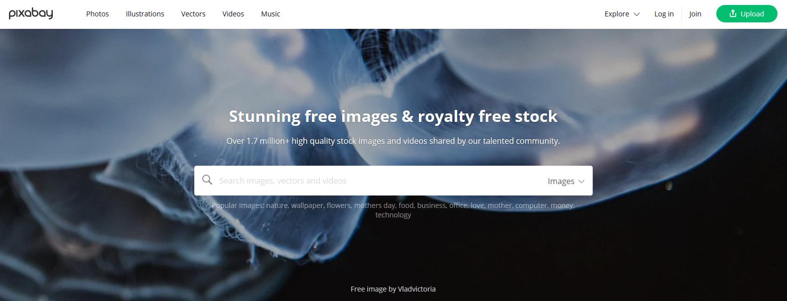 无版权网站的图片侵权吗,无版权的图片怎么使用不涉及侵权