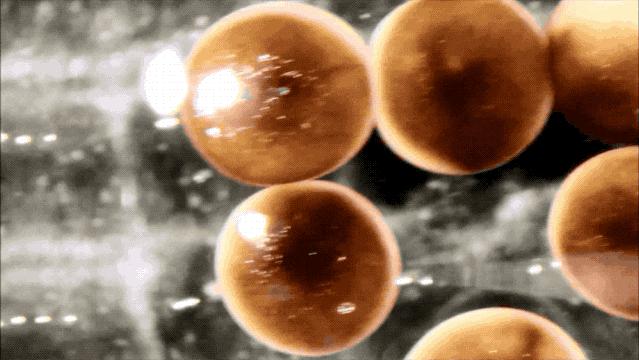 全球首个活体机器人怎么编程,最新人工智能机器人问世