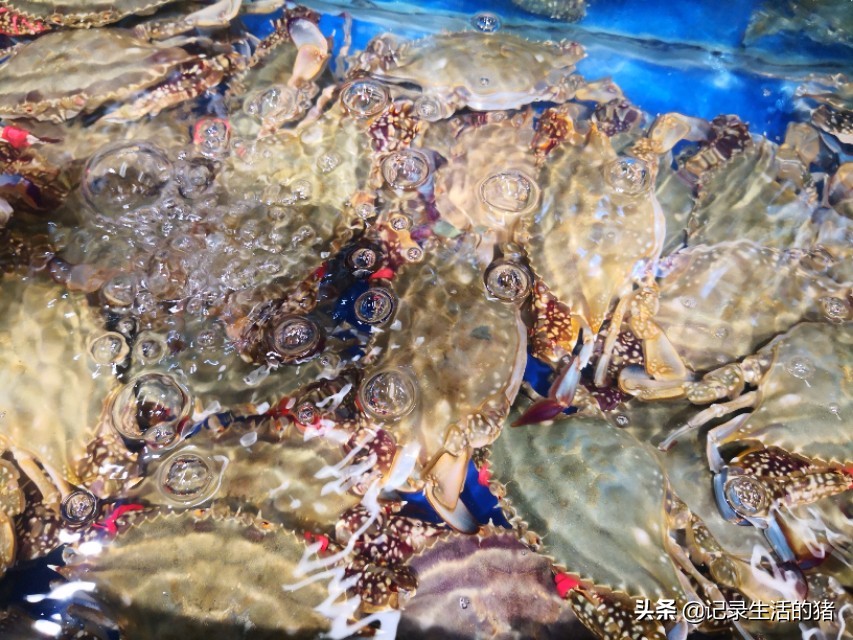 周末北京出发吃海鲜,北京自助游最好去哪儿吃海鲜