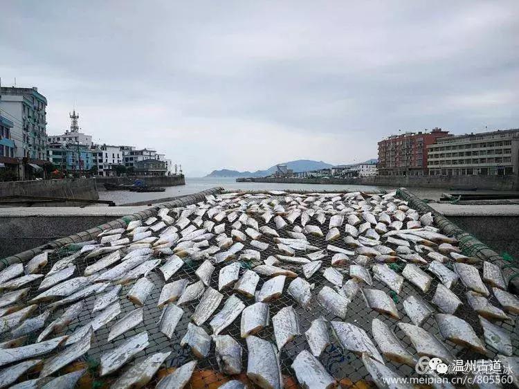鹿西岛白龙屿旅游攻略,鹿西岛白龙屿日出