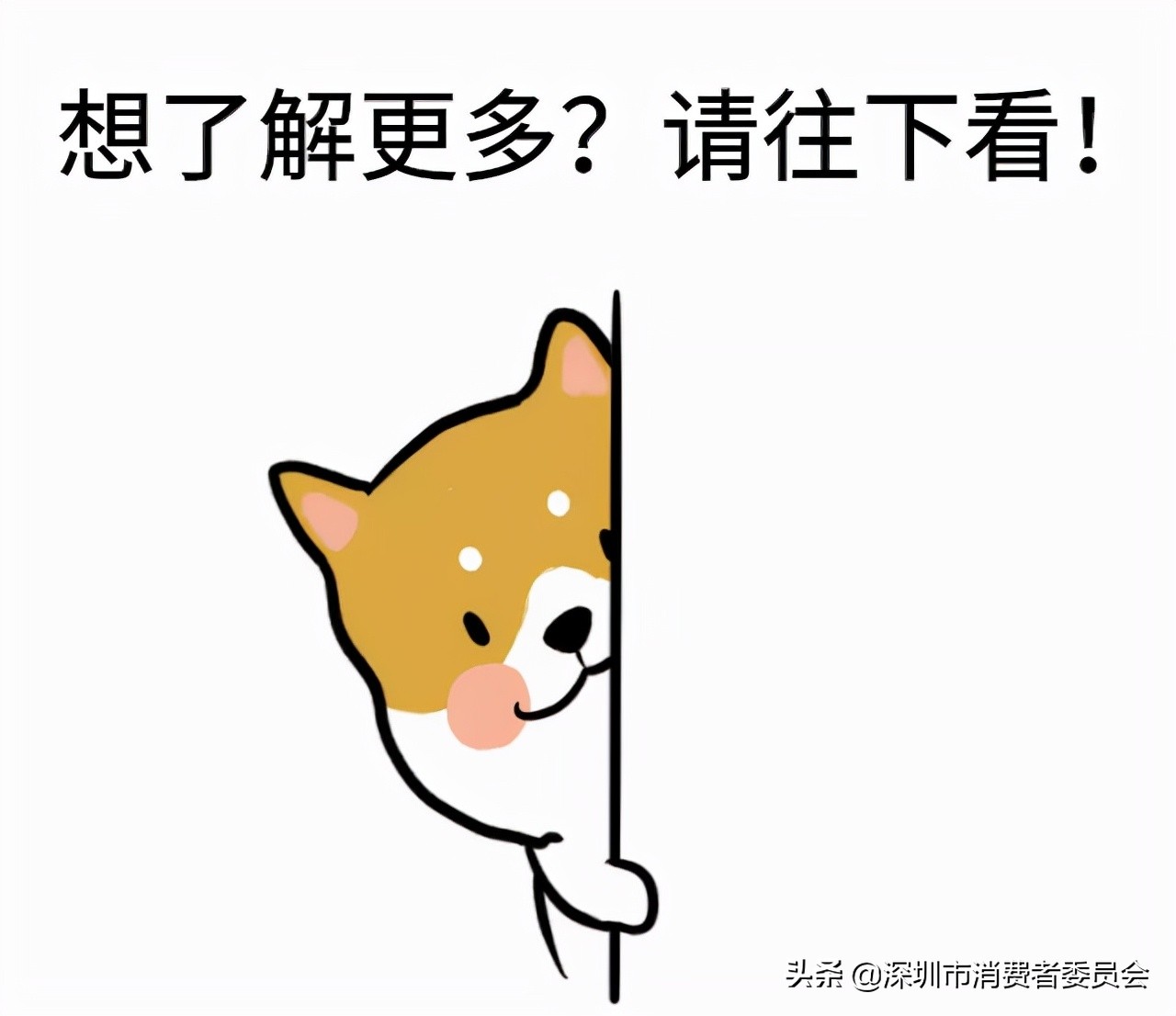 无线充电宝测评红黑榜,无线充电宝测评推荐排行榜第一名