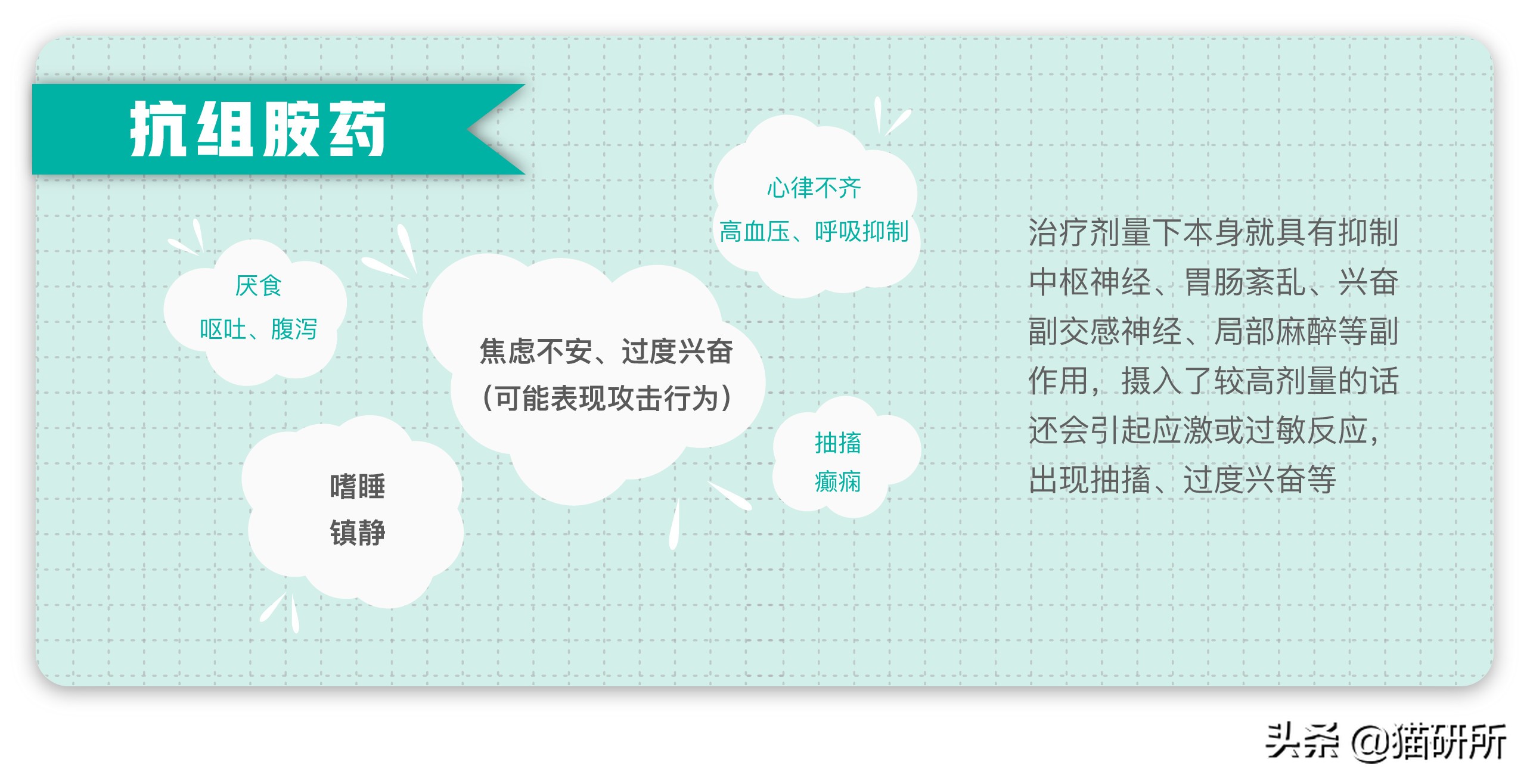 给猫粮投毒辟谣,猫吃人用感冒药吗