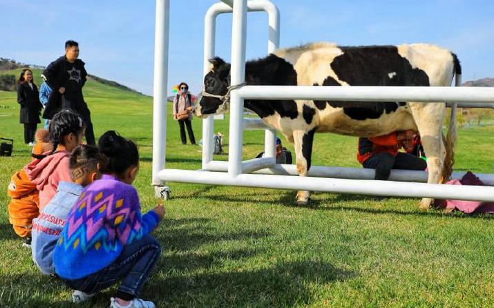 避暑亲子旅游推荐5天游,暑期草原亲子游攻略