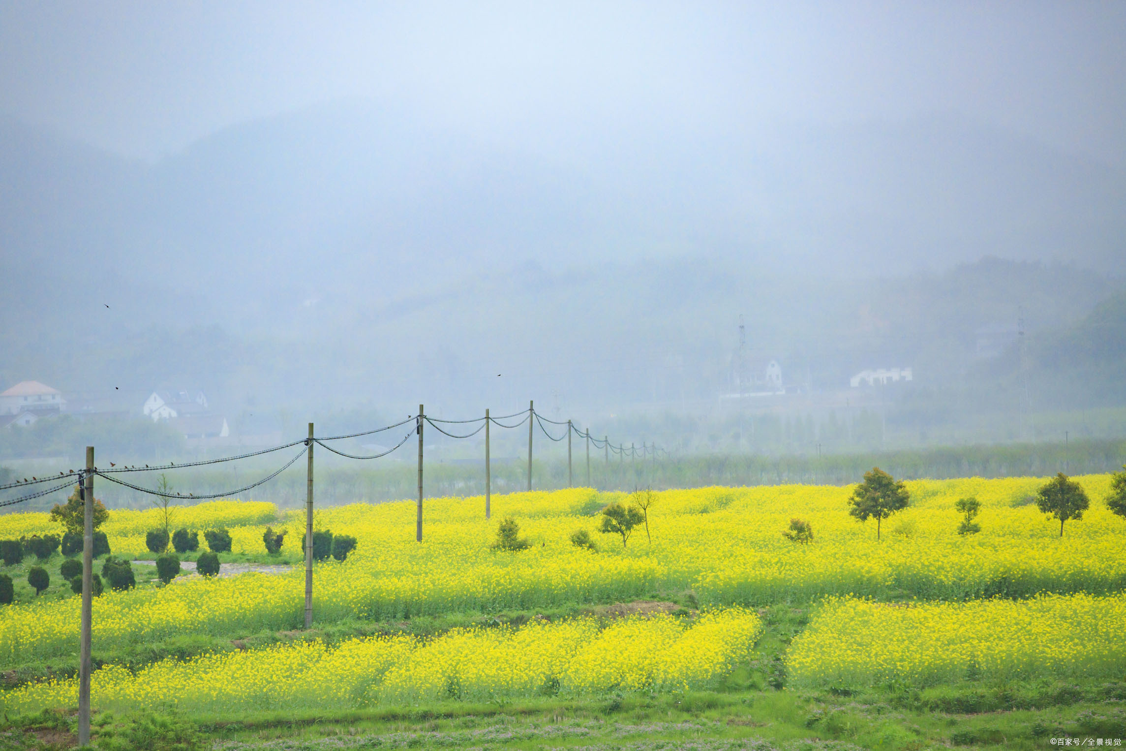 想养个孩子,想养出一个好儿子就要对他撒娇