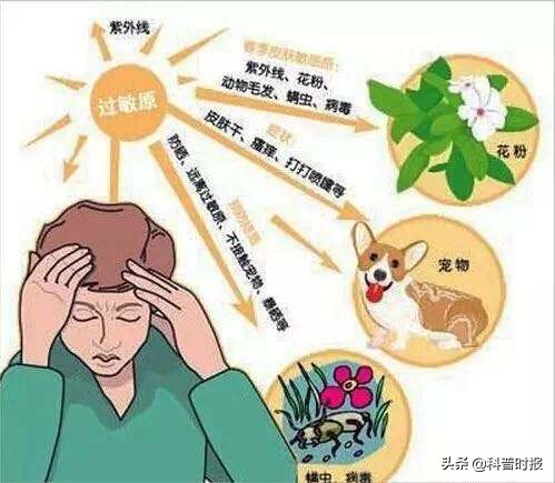 过敏体质几代遗传,科普时报是什么级别