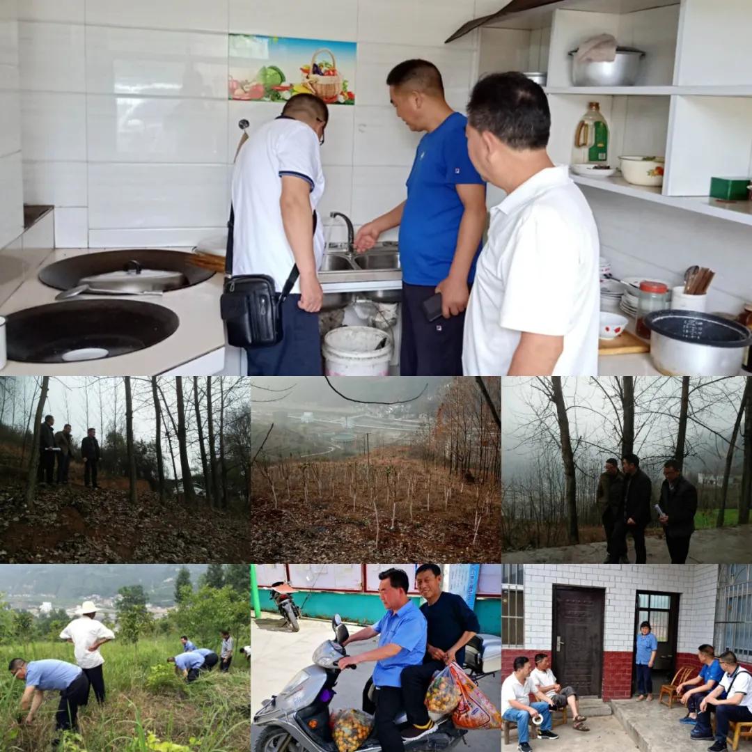 保康：大柳树下的“扶贫故事”