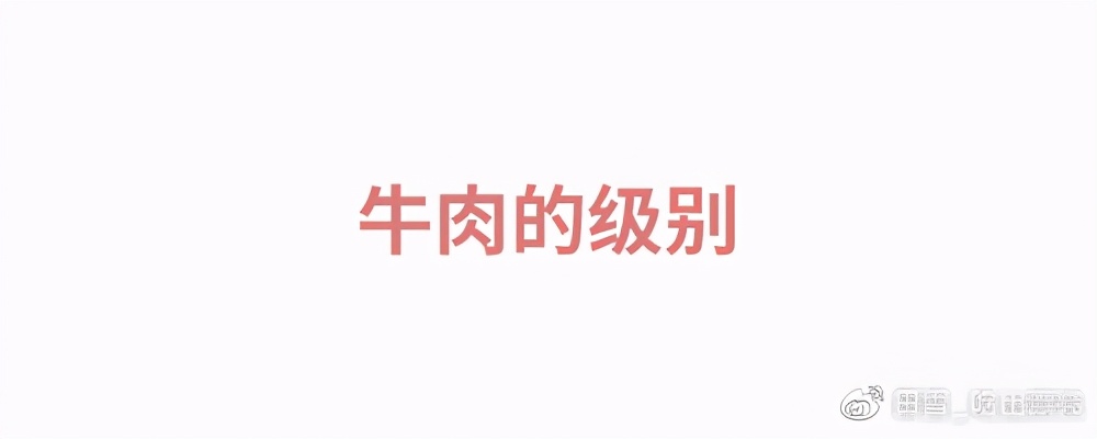 牛肉先锋|挑选好牛肉的锦囊妙计,“庖丁解牛”了解一下