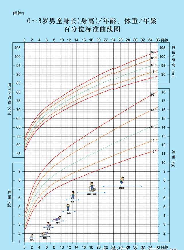 特配粉怎么看真假,特配粉品牌有哪些