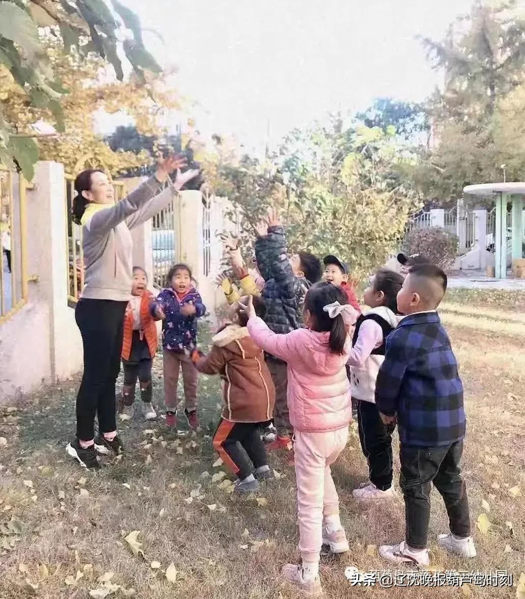 亭亭净植，做一尘不染的“莲花人”——记葫芦岛市莲花第二幼儿园教师吴迪