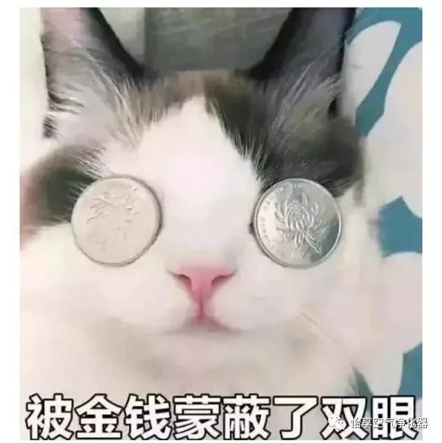 宠物电商的发展模式有哪些,宠物电商市场怎么发展起来的呢