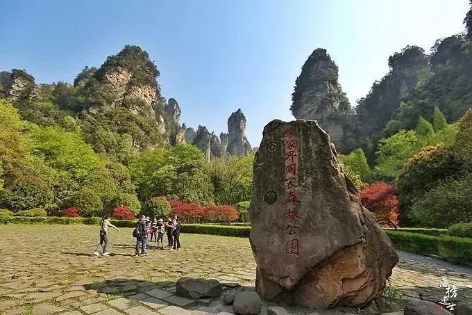 去张家界自助游攻略,张家界免门票自助游攻略图片真实