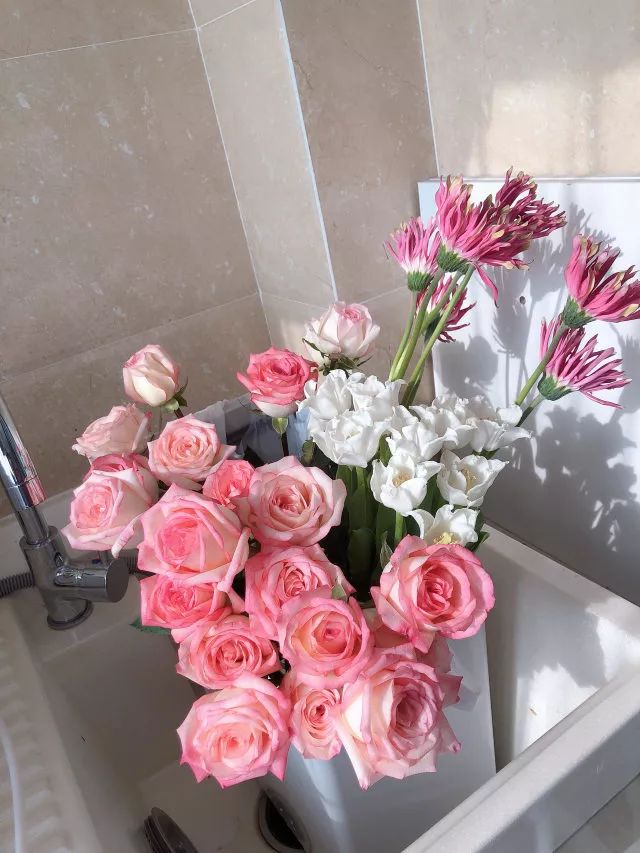 叫醒玫瑰花的办法