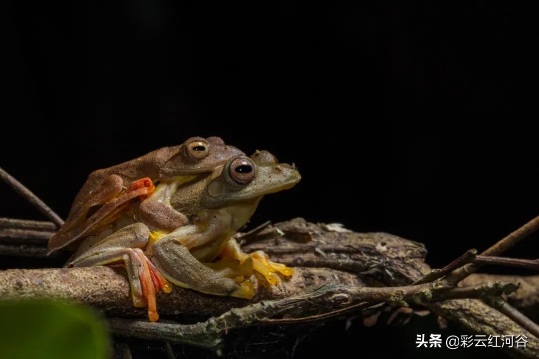 中国云南哪里好看,云南的云彩为什么好看