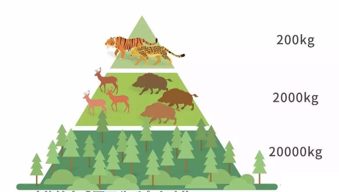 人类为什么会死亡,人类为什么存在