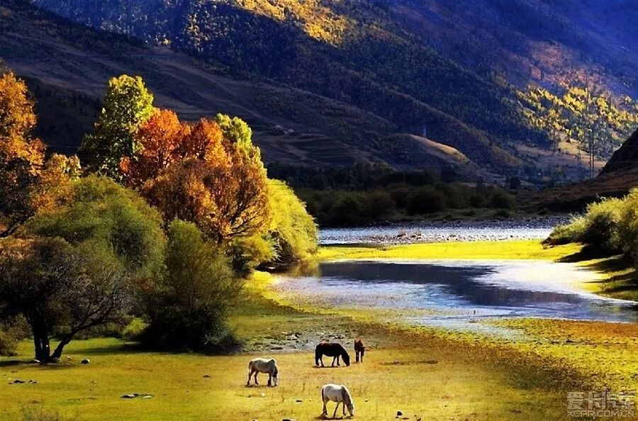 从康定开始一路都是绝美风景,从康定到新都桥景色视频