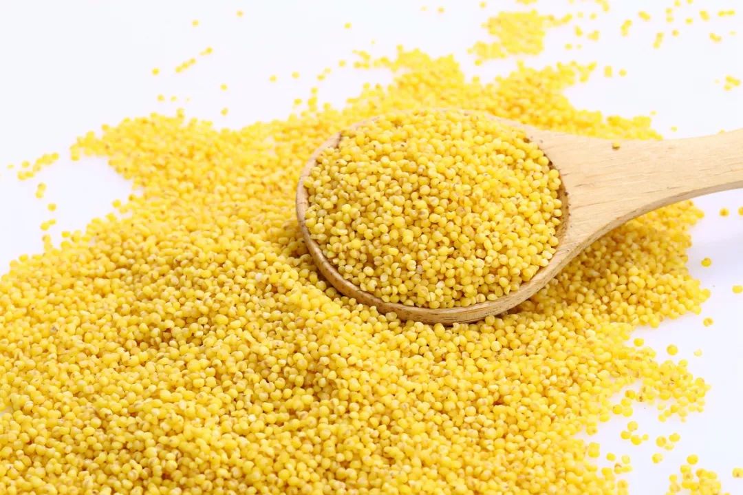 五谷的记忆口诀,五谷快速记忆法