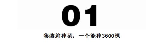 大型农场建造,家庭农场可以放置集装箱做民宿