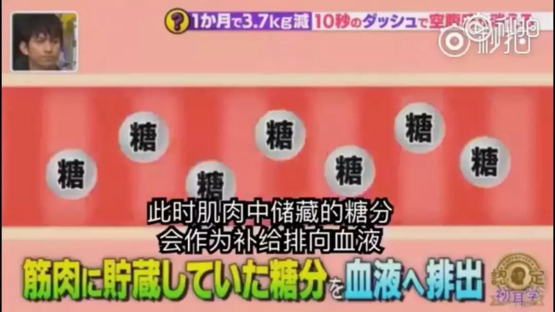 减肥很饿很馋吃什么,减肥很饿很馋口水视频