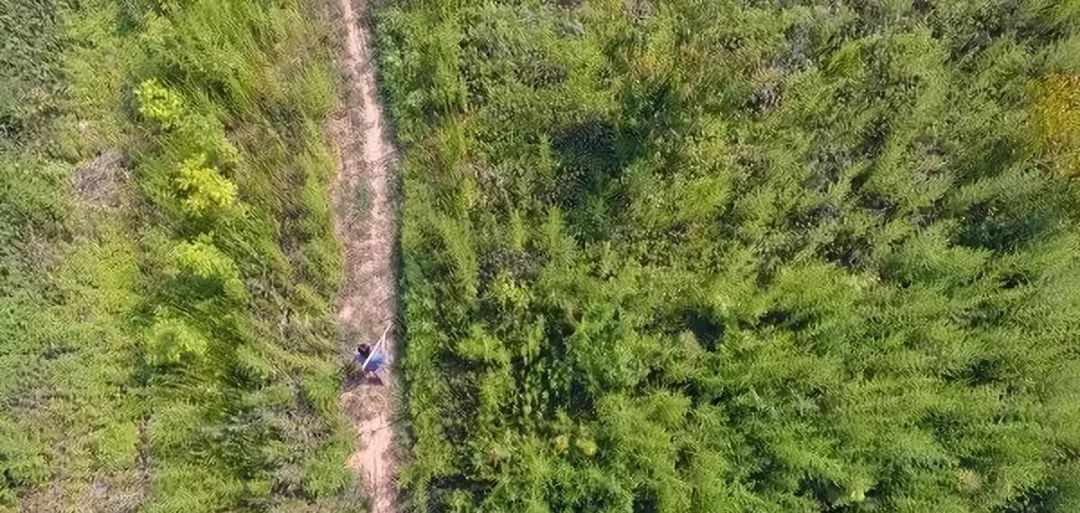 再读人生感悟,怀念那些漫长而又短暂的时光