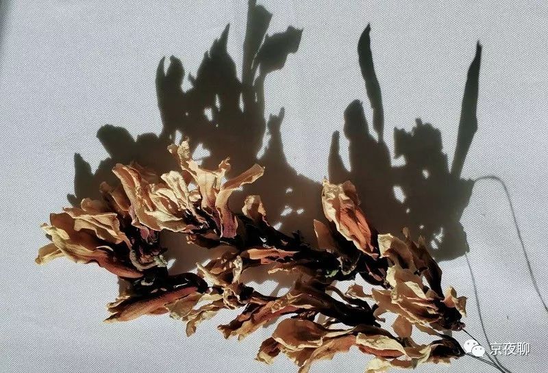 张虹｜玉兰花香且可食