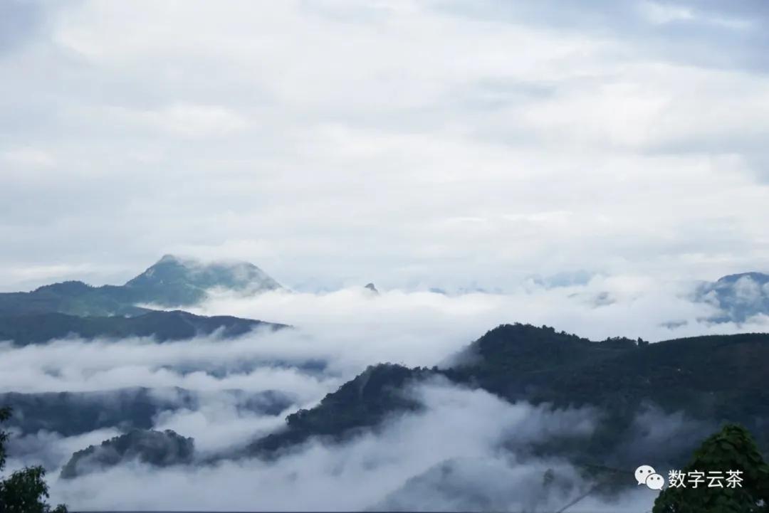 茶马古道寻找茶文化之旅,消失的茶马古道和茶文化