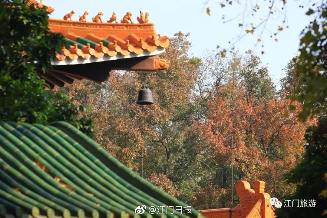 广东秋天看红叶的地方,广东深秋红叶有多漂亮