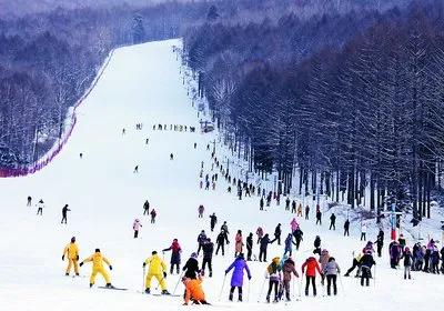 在青岛玩什么比较好,青岛该怎么玩三天两夜