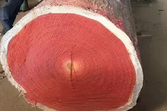 贪便宜买的家具,吐槽刚买的菜板