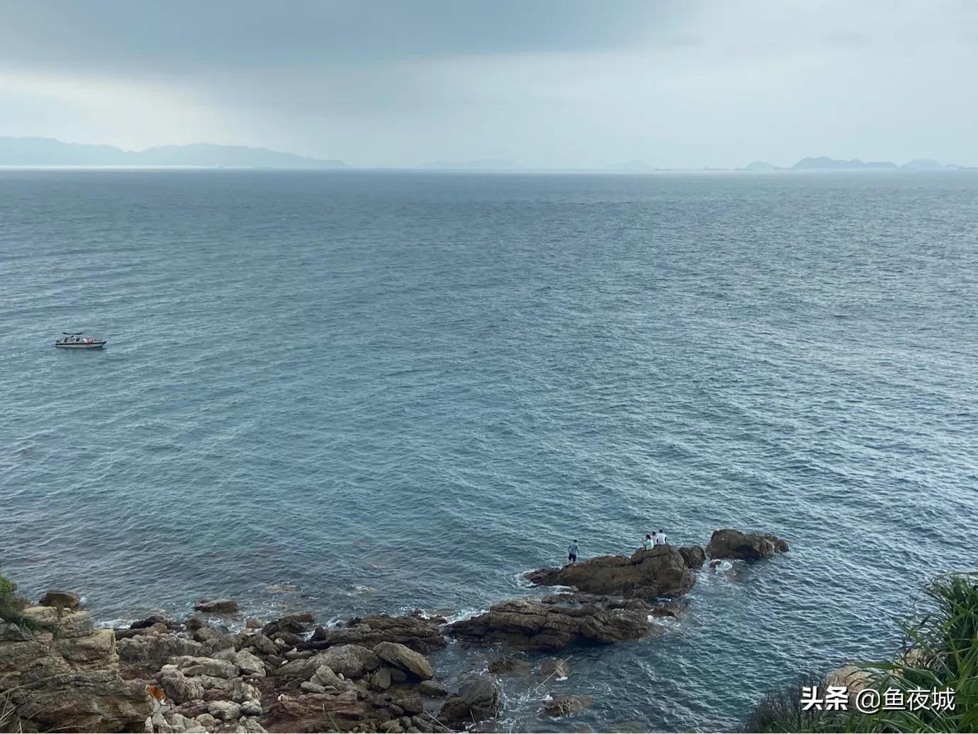 可以获得收益的自媒体平台,财经自媒体哪些平台收益高