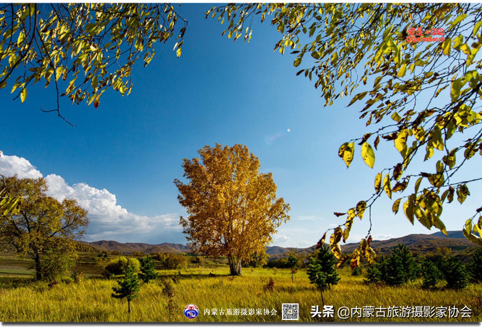 那山那水那滋味,那山那水那份爱