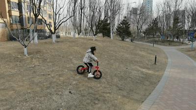 儿童平衡车推荐2-6岁怎么骑,儿童平衡车推荐2-6岁怎样骑