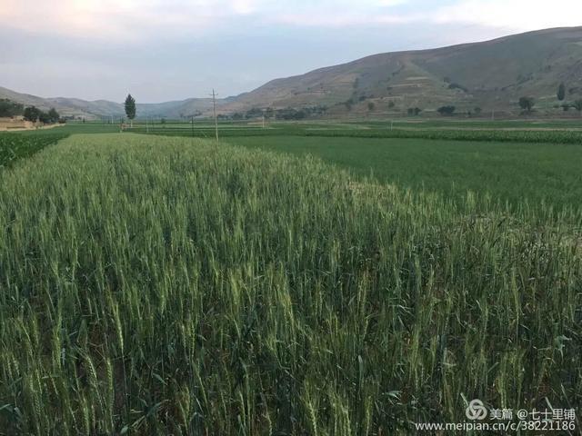 大美汨罗我的家,大美宝丰我的家