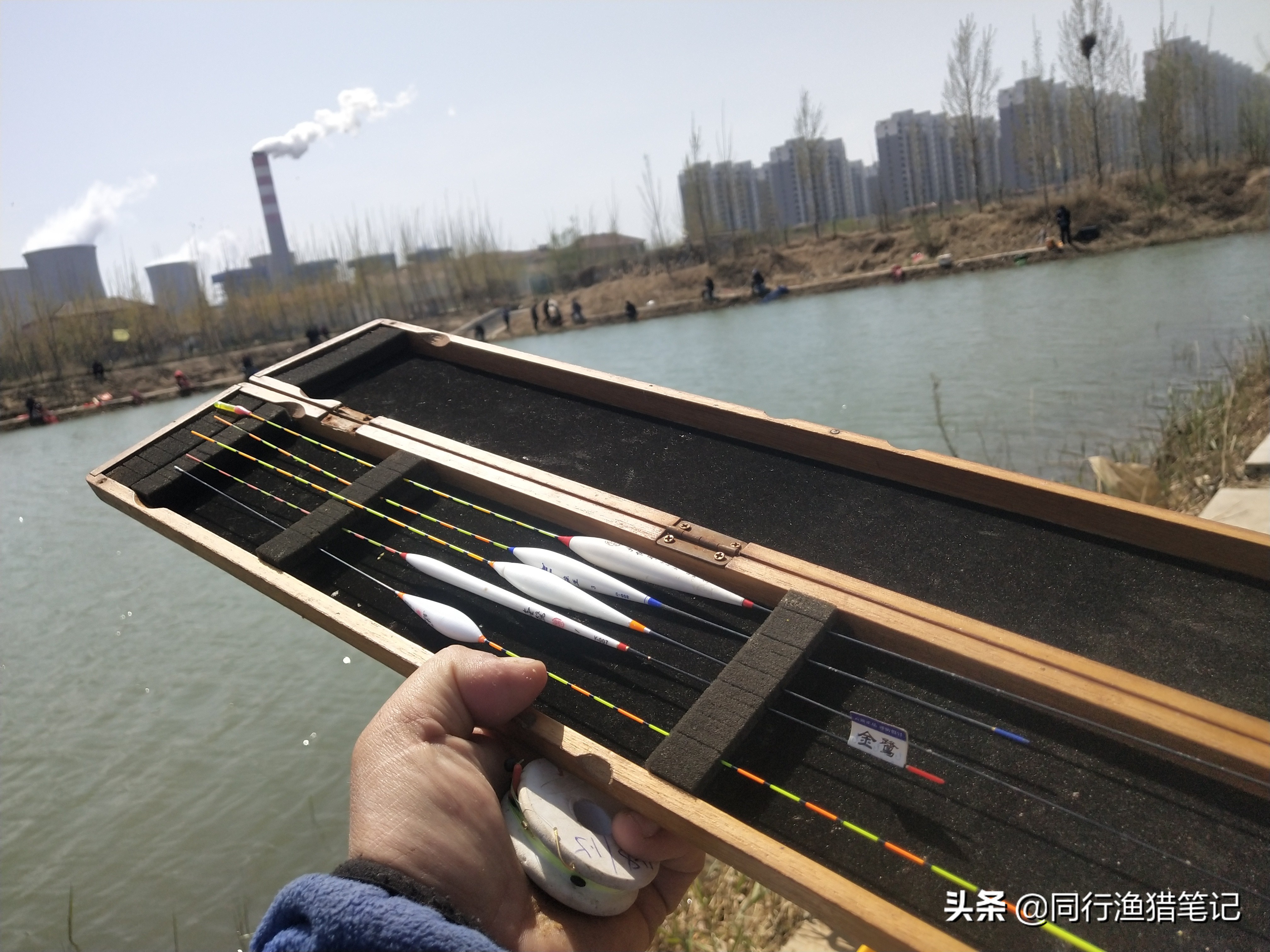 黑坑新放的3-5斤草鱼怎么钓,广东黑坑钓草鱼的正确方法与技巧