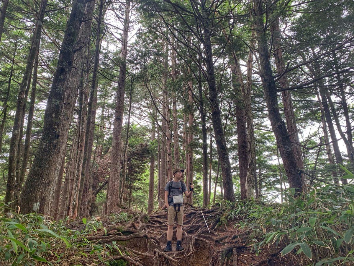 lnt原则是什么,lnt法则的核心七大原则