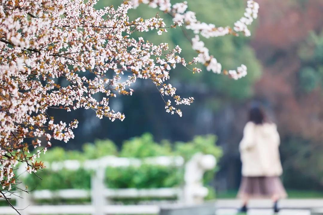 杭州美职学校风景,杭州美丽学校评选