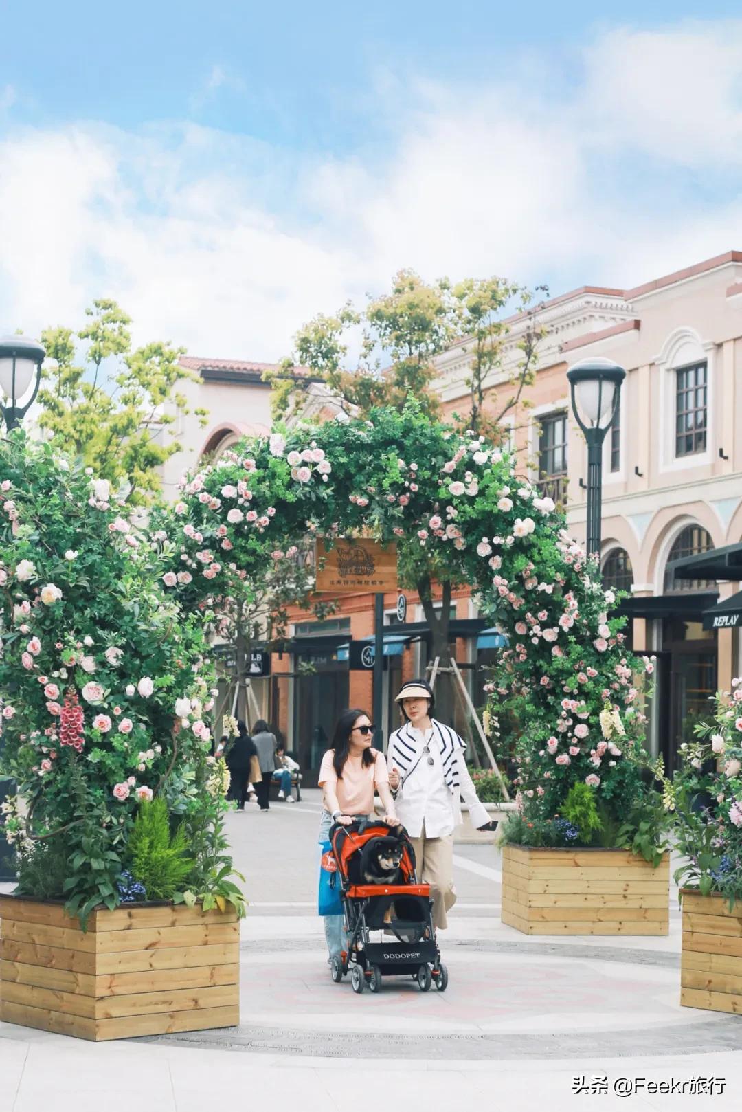 鑻忓窞娓哥帺瓒呯骇璇︾粏鏀荤暐浜斿ぉ,璺熺潃褰撳湴浜烘帰绱㈢殑鍦版柟