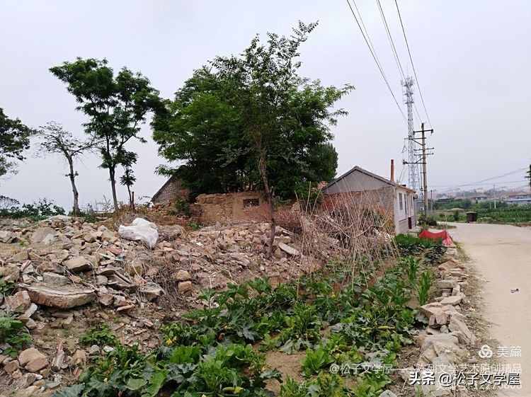 山东海阳李家庄村名的由来,海阳李家庄平房